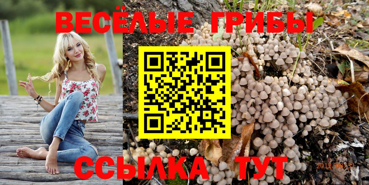 Галлюциногенные грибы мухоморы  Псилоцибиновые грибы Magic Shrooms  где купить наркоту  Михайловск  Вход с VPN 