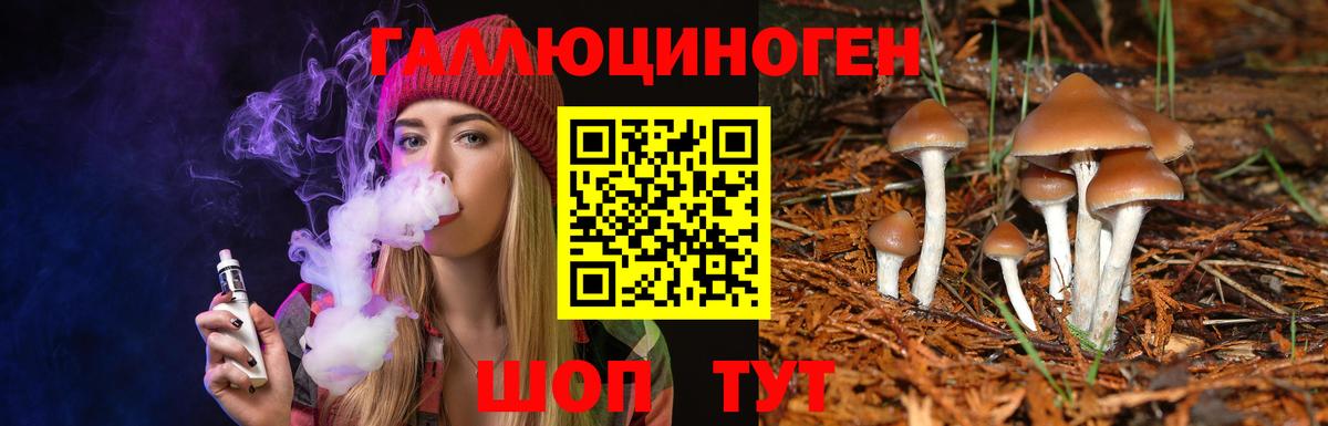 Псилоцибиновые грибы Psilocybe Михайловск
