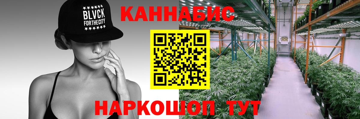 Бошки марихуана Bruce Banner  Вход с VPN  Михайловск  Бошки Шишки индика 